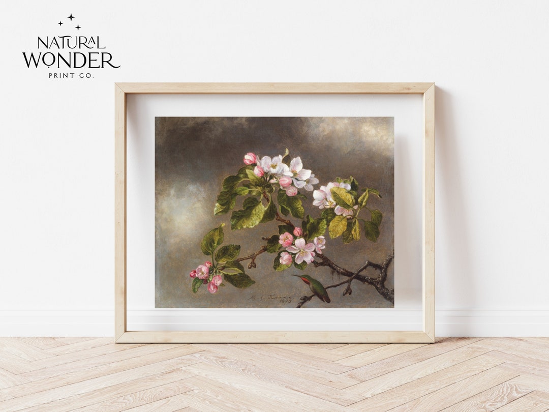 Vintage Apple Blossoms Print | Spring Flower Painting | Hummingbird and ...