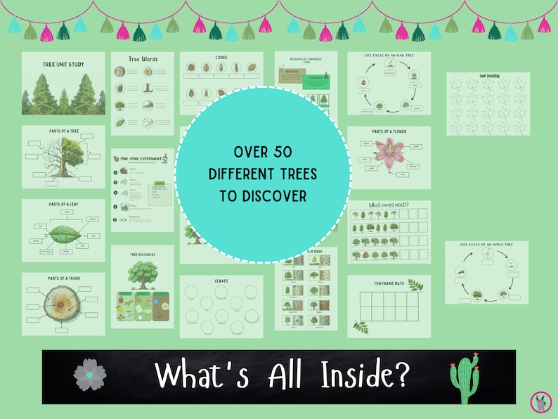 Tree Unit Study Nature Study Life Cycle of Tree Homeschool Printable ...