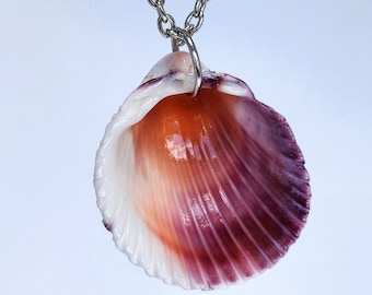 Real Seashell Necklace. Natural Beach jewlery. Mermaid Shell Necklace.