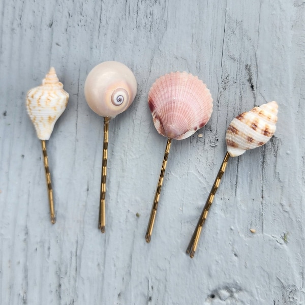 Four Seashell Hair Bobbi Pins. Real moon shell and scallop hair clips. Beachy hair accessories.