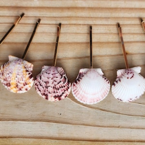 Four Seashell Hair Bobbi Pins. Real shell hair clips. Tropical hair accessories for Summer or festival.