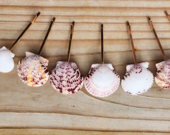 Four Seashell Hair Bobbi Pins. Real shell hair clips. Tropical hair accessories.