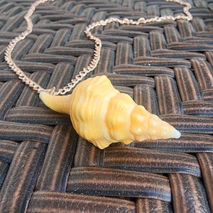 Mini Conch Charm Necklace. Real Florida seashell on waterproof necklace.