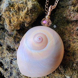May include: A delicate rose gold chain necklace with a pink crystal pendant and a large, iridescent seashell charm.