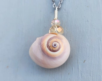 Rare Rainbow Moon Shell Mermaid Necklace on Stainless Steel Chain. Real Seashell Necklace. One of a kind necklace. Summer jewelry for her.