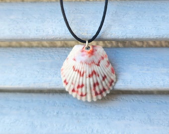 NEW Baby Blue and Crimson Scallop Shell Necklace on 18 inch Chain or Cord. Limited availability. Real seashell necklace. Seashell choker.