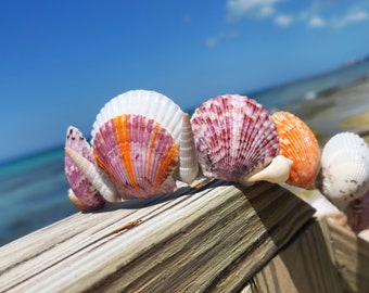 One of a Kind Mermaid Headdress. Vibrant seashell crown for adults. Natural Seashell Headband. Summer Festival Headdress for her. New tiara.