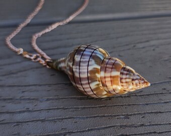 One of a kind Seashell Necklace. Real shell jewelry hand made from Florida. Pristine tulip shell on 18 inch chain.