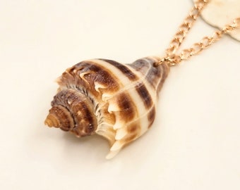 Queen's Crown Shell Necklace for her. Seashell Mermaid Necklace.