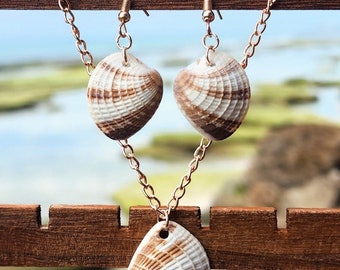 Seashell necklace with matching shell earrings. 3 piece jewelry set. Dainty shell necklace. Purple Peek-a-Boo earrings.