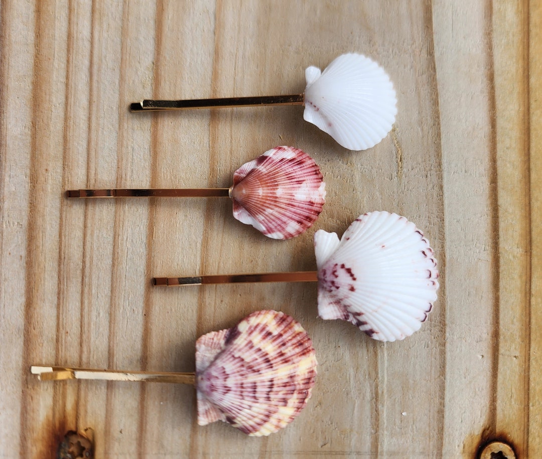 Small Shell Clips Seashell Hair Bobbi Pins: Real Calico Scallop Shell Clips (set of 4) - Etsy