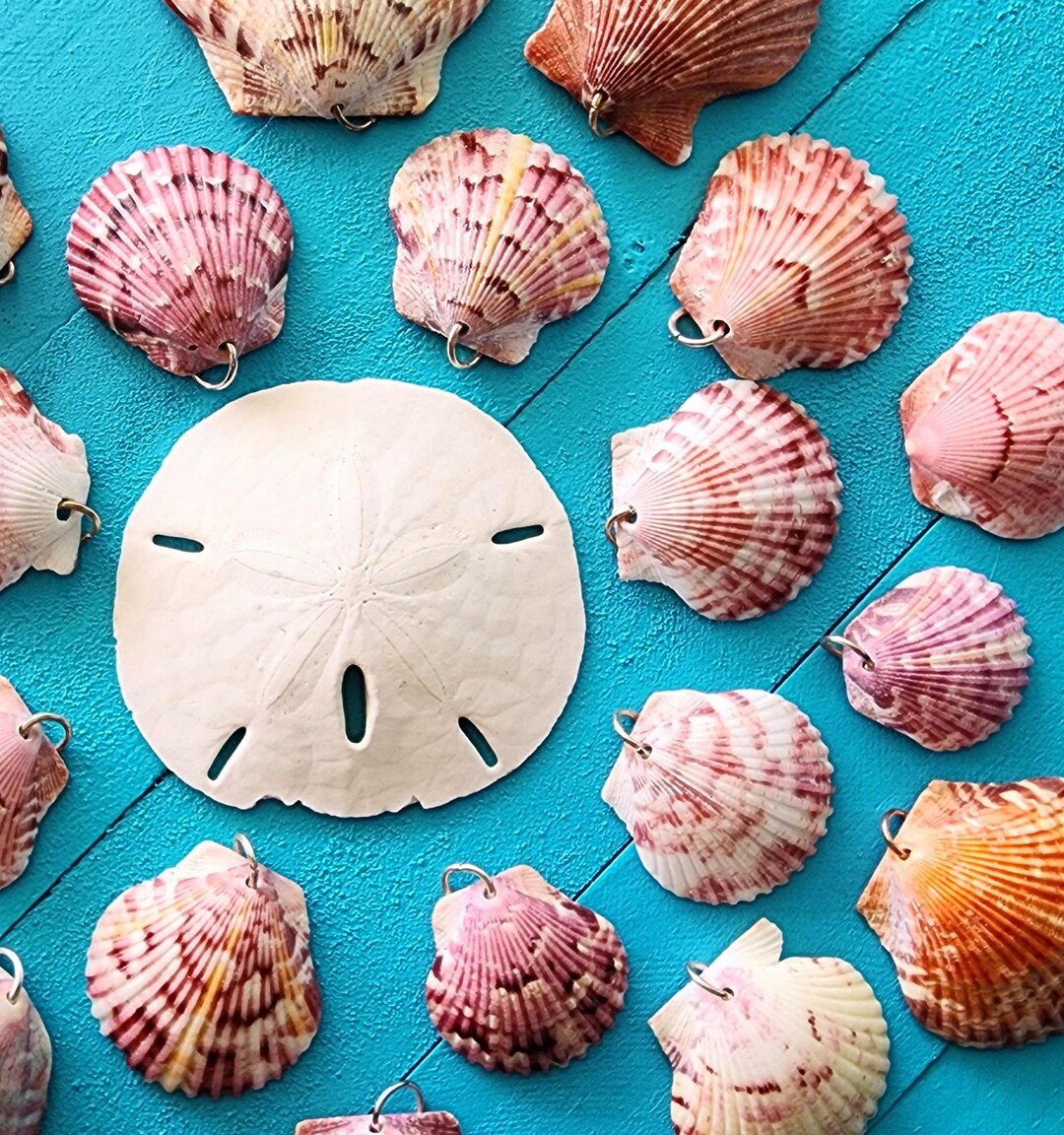 Pick Your Pendant! Made From Real Seashells to Create a Custom ...
