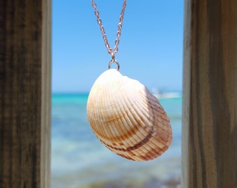 One of a Kind Florida Seashell Necklace. Mermaid Necklace Unique Jewelry.