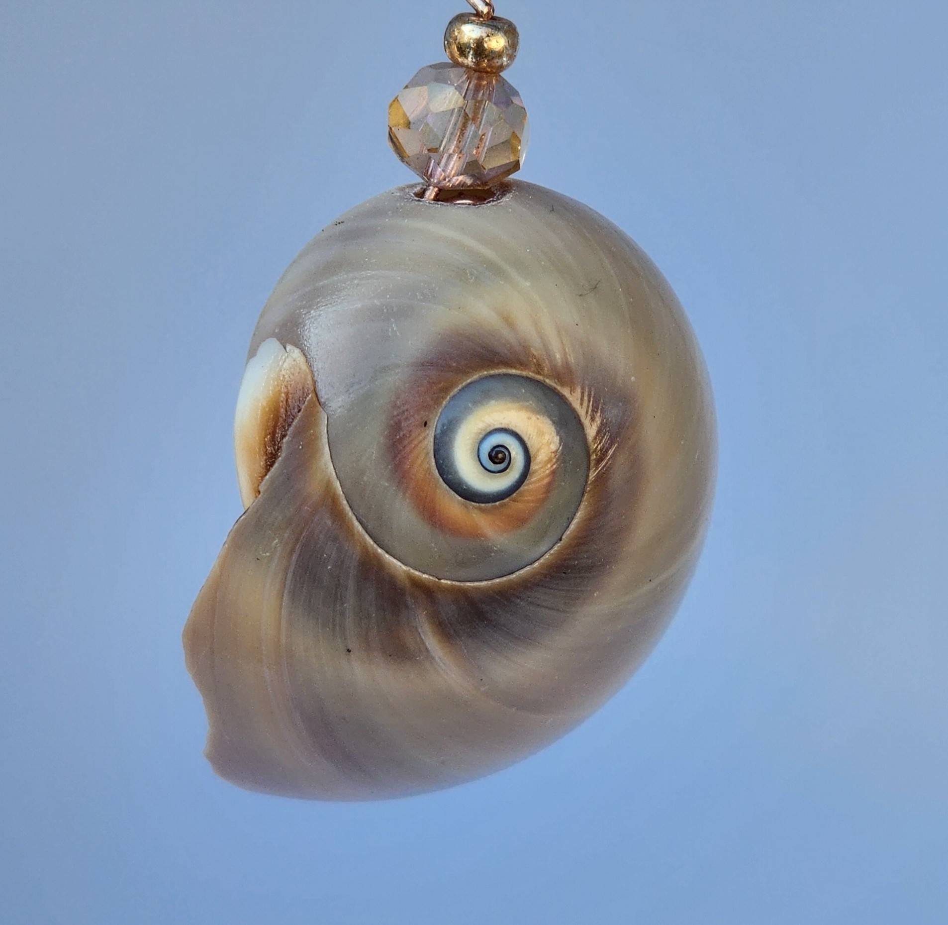 Mooano Shell Florida Moon Shell Pendant, Stainless Steel Necklace, Seashell Jewelry ...