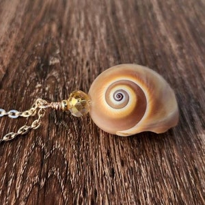 Shark Eye Shell Mermaid Necklace. Seashell Necklace. Shell Jewelry. Moon shell Necklace. Unisex Necklace for Men & Women.