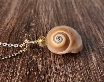 Shark Eye Shell Mermaid Necklace. Seashell Necklace. Shell Jewelry. Moon shell Necklace. Unisex Necklace for Men & Women.