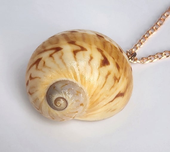 Golden Atlantic Moon Shell Waterproof Necklace on Stainless Steel