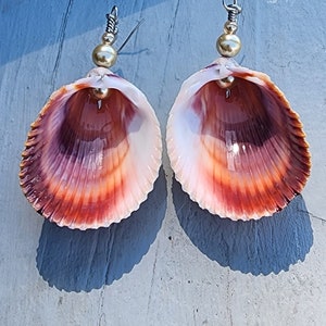Stainless Steel Seashell Earrings with matching necklace. Real shell jewelry. Vibrant beach accessory for women and girls. Mermaid earrings.