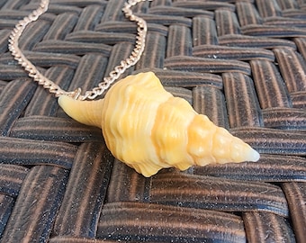 Mini Conch Shell Necklace. Real Florida seashell necklace.