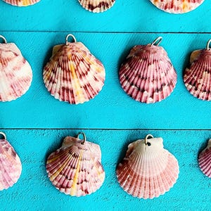 Pick Your Pendant! Choose from over 50 seashells for a custom waterproof necklace on an 18 inch Stainless steel chain.