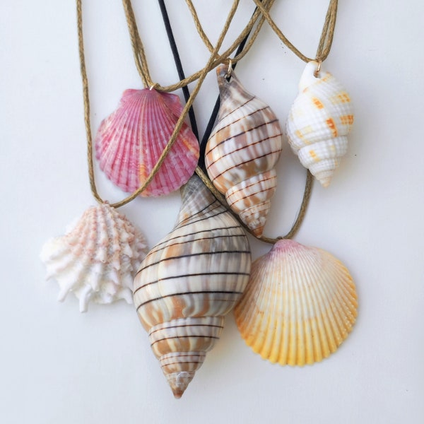Seashell Charm Necklace: Real Florida Shells, Adjustable Choker