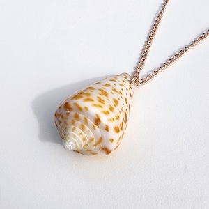 Rare Florida Cone Shell Pendant Necklace. One of a kind necklace perfect for mermaids.