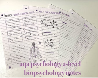 AQA A Level Psychology - Biopsychology PDF Notes - Etsy