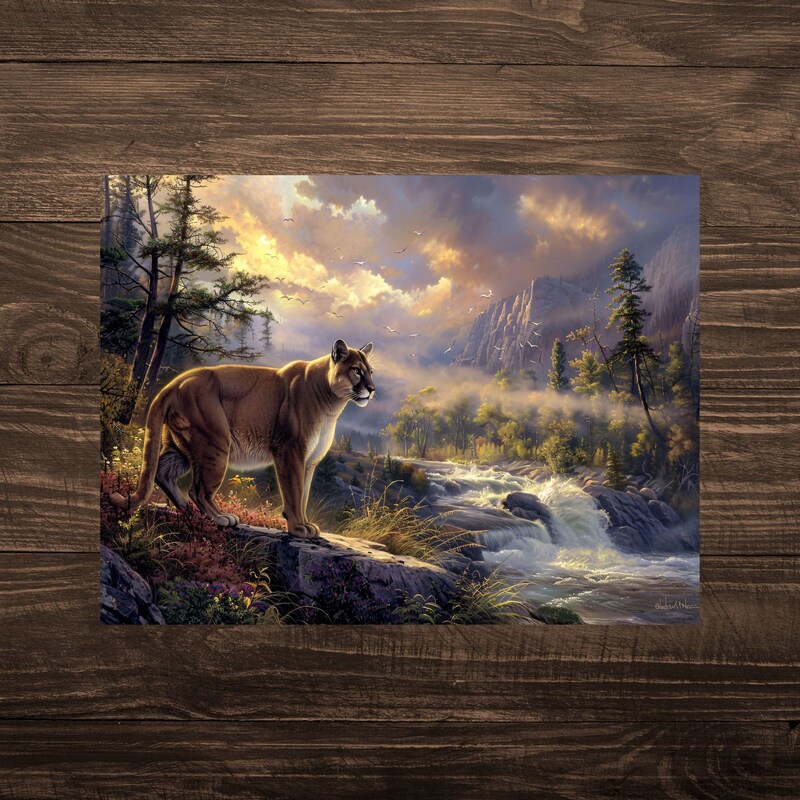 Mountain Lion Art - Etsy