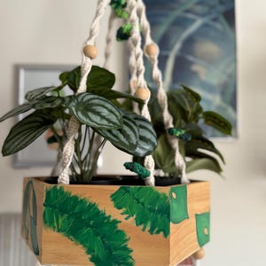 Boho Macrame Hanging Shelf – Wooden Floating Plant Shelf | Macrame Plant Holder, Bohemian Home Decor, Wall Organizer Gift