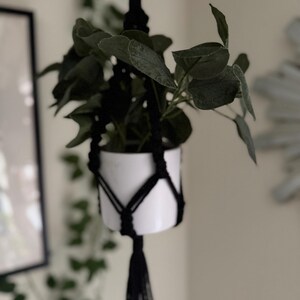 May include: A white ceramic plant pot with a dark green plant, suspended by a black macrame plant hanger. The macrame has a tassel at the bottom. The plant has round, green leaves.