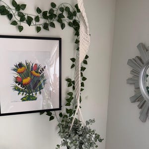 May include: A hanging macrame plant holder with a black pot filled with greenery. The off-white macrame rope is suspended from the ceiling. A framed floral print and a decorative mirror are visible on the white wall.