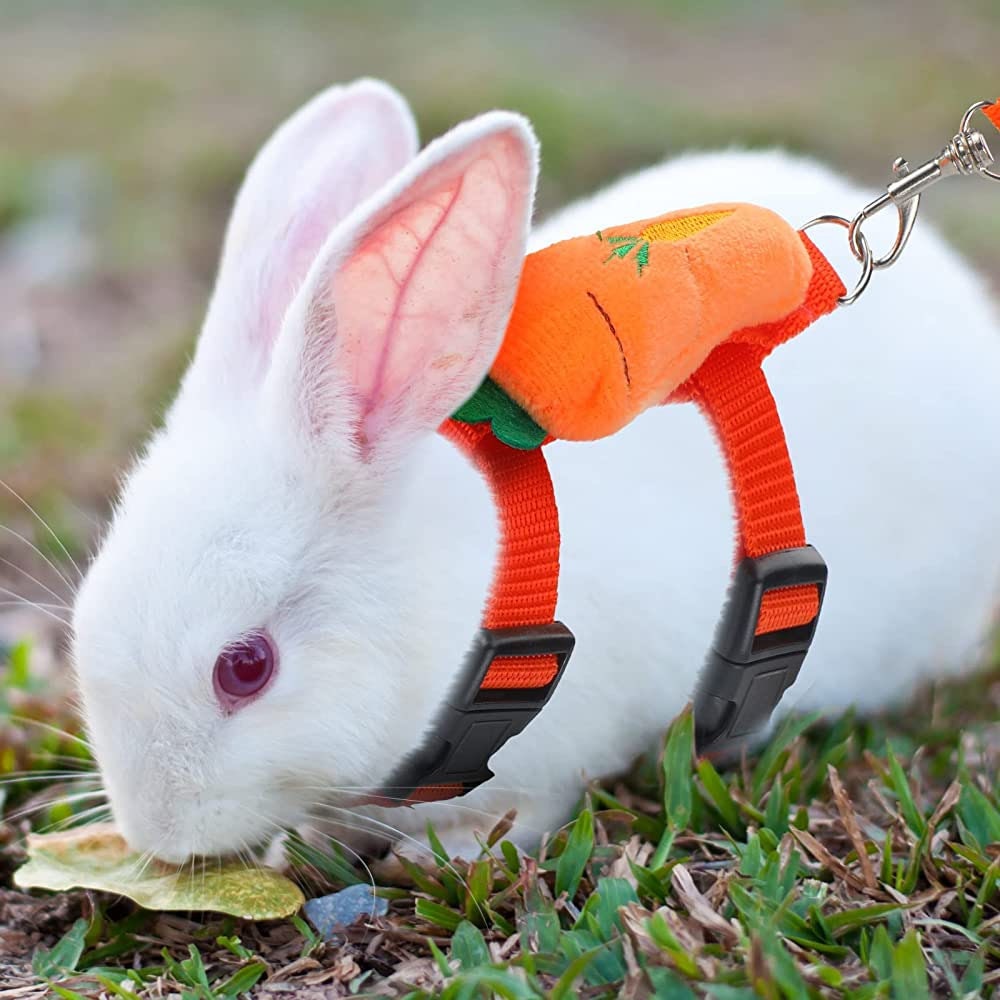 Rabbit Harness - Etsy