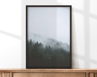 May include: A framed photograph of a misty forest scene with a black frame. The photo shows a hillside covered in trees with fog rolling in.