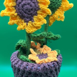 Könnte beinhalten: Ein gehäkeltes Sonnenblumenarrangement in einem lila Topf. Die Sonnenblumen haben gelbe Blütenblätter und violette Zentren. Die Stiele und Blätter sind grün. Eine kleine, orangefarbene und gelbe Blume befindet sich am Boden. Der Hintergrund ist grün.