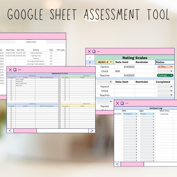 Online Individual Client Assessment Organizational Tool