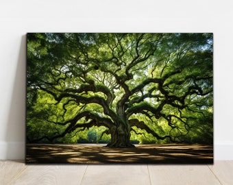 Tempered Glass Wall Art | Angel Oak Tree Glass Print | Wall Hangings | South Carolina Historic Oak Tree Glass | Large Wall Art | Home Decor