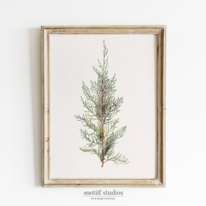 Vintage Winter Branch Botanical | Winter Painting Wall Art Printable | Antique Aesthetic Digital Download Prints | N-118