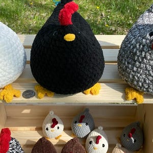 Chickens - Large Chickens + Surprise!