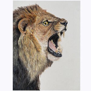 Original Lion Acrylic Painting. Giclée print