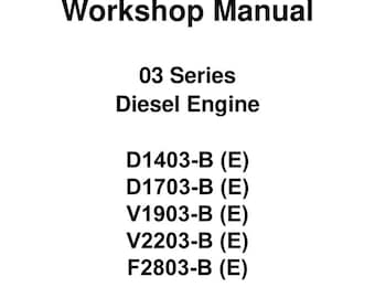 Service Manual for KUBOTA 03 SERIES Diesel Engine D1403 D1703 V1903