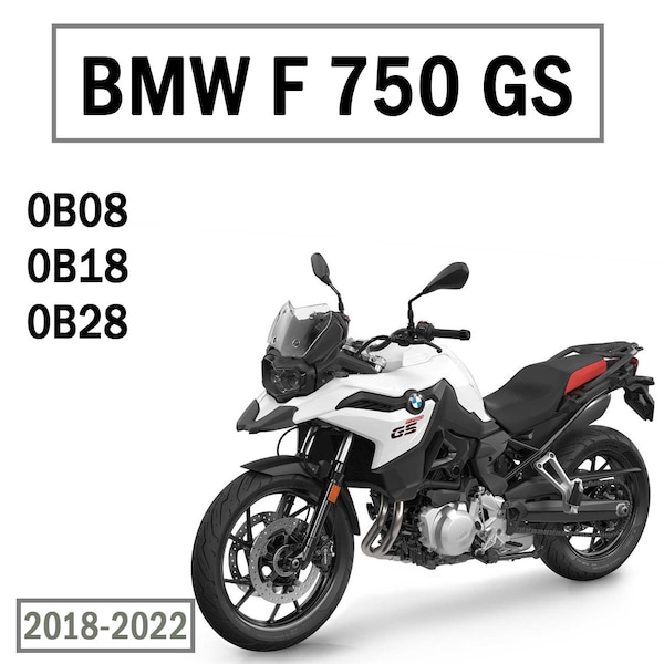 Workshop Service Manual for BMW F 750 Gs Europe and USA models 2018-2022 Download