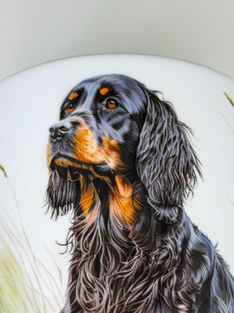 K&ouml;nnte beinhalten: Eine detaillierte Illustration eines Gordon Setters mit langem, welligem schwarzem Fell und satten lohfarbenen Abzeichen an Schnauze, Augenbrauen und Brust. Der Hund ist im Profil vor einem hellen Hintergrund mit feinen Grashalmen dargestellt.