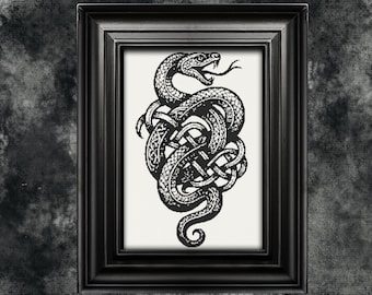 May include: Black framed print featuring a detailed illustration of a snake intertwined with Celtic knotwork. The snake is depicted with an open mouth and a forked tongue. The artwork is in black and white, set against a cream background.