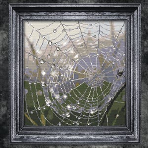 May include: A framed artwork shows a detailed spiderweb with water droplets, and a small spider. The artwork is in a silver-coloured frame. The background shows a blurred green and white landscape.