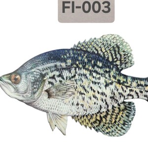 Puede incluir: Una ilustración detallada de un pez crappie negro sobre un fondo blanco. El pez tiene un patrón de manchas negras y amarillas. La imagen está etiquetada como "FI-003".