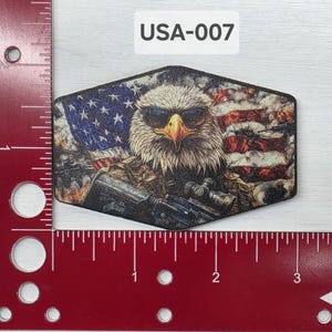 May include: A close-up of a patch featuring a bald eagle wearing sunglasses and holding a rifle. The eagle is perched on a camouflage background with an American flag behind it. The text "USA-007" is printed on the top of the patch.