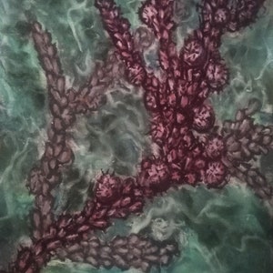 Desenho de algas inspirado nas “formas artísticas da natureza” do biólogo Ernst Haeckel em formato pastel seco 24x18 centímetros