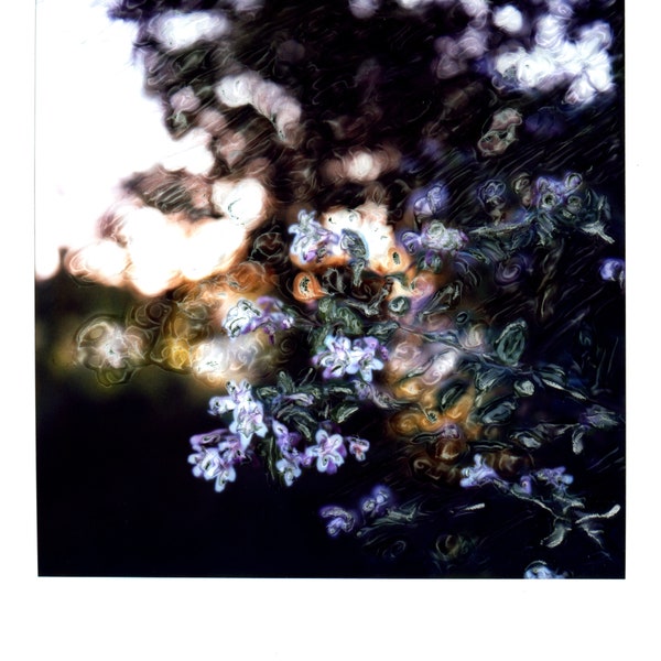 SX70 Image Manipulation "Sunset Mix"