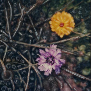 SX70 Image Manipulation &quot;Cosmos&quot;