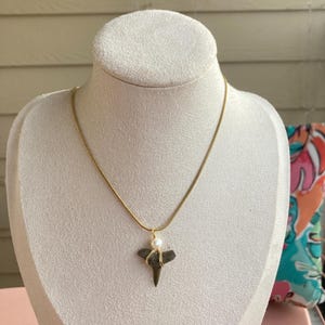 Shark Tooth Chain Necklace